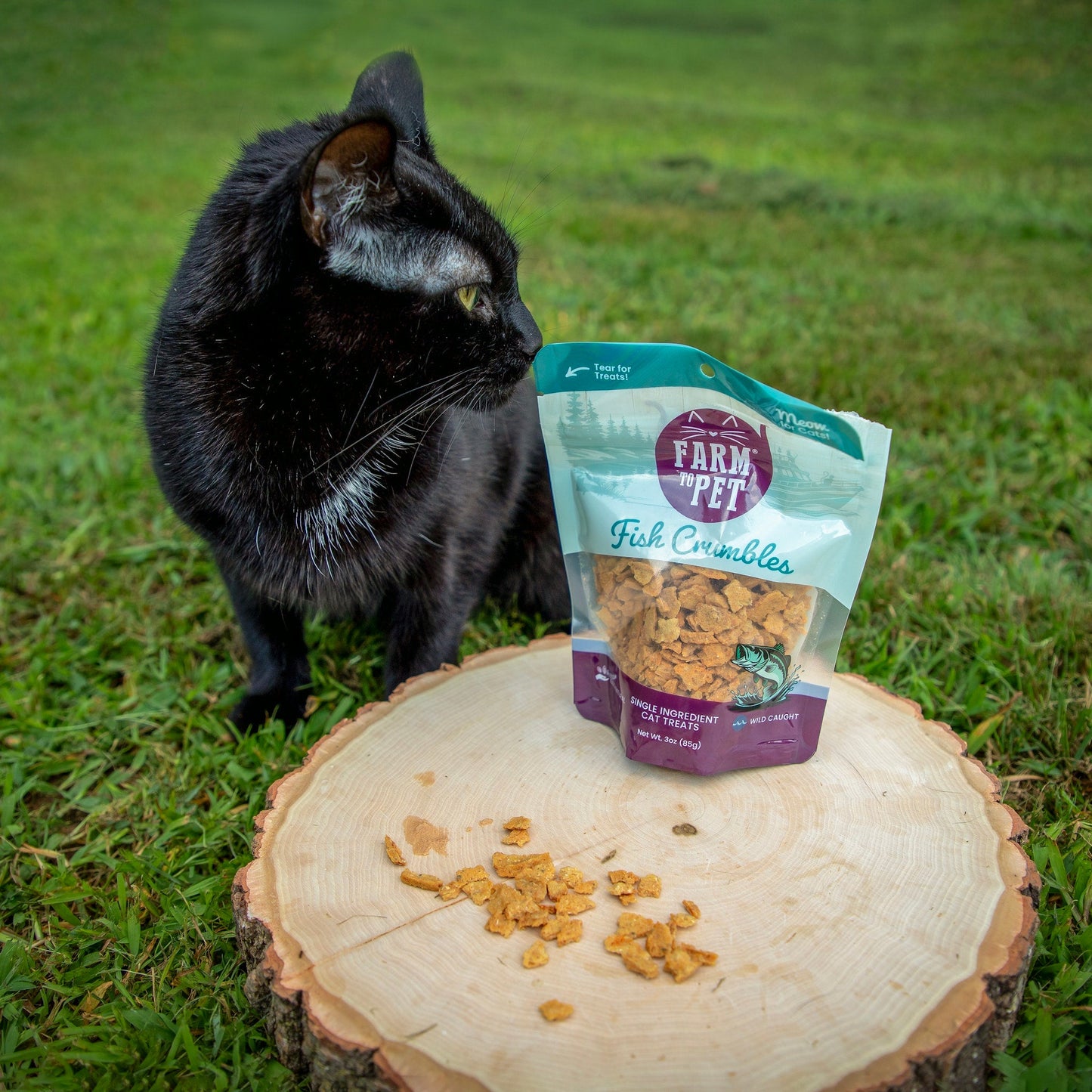 Fish Crumbles for Cats | All-Natural Fish Cat Treats - ZOOMNSTORE