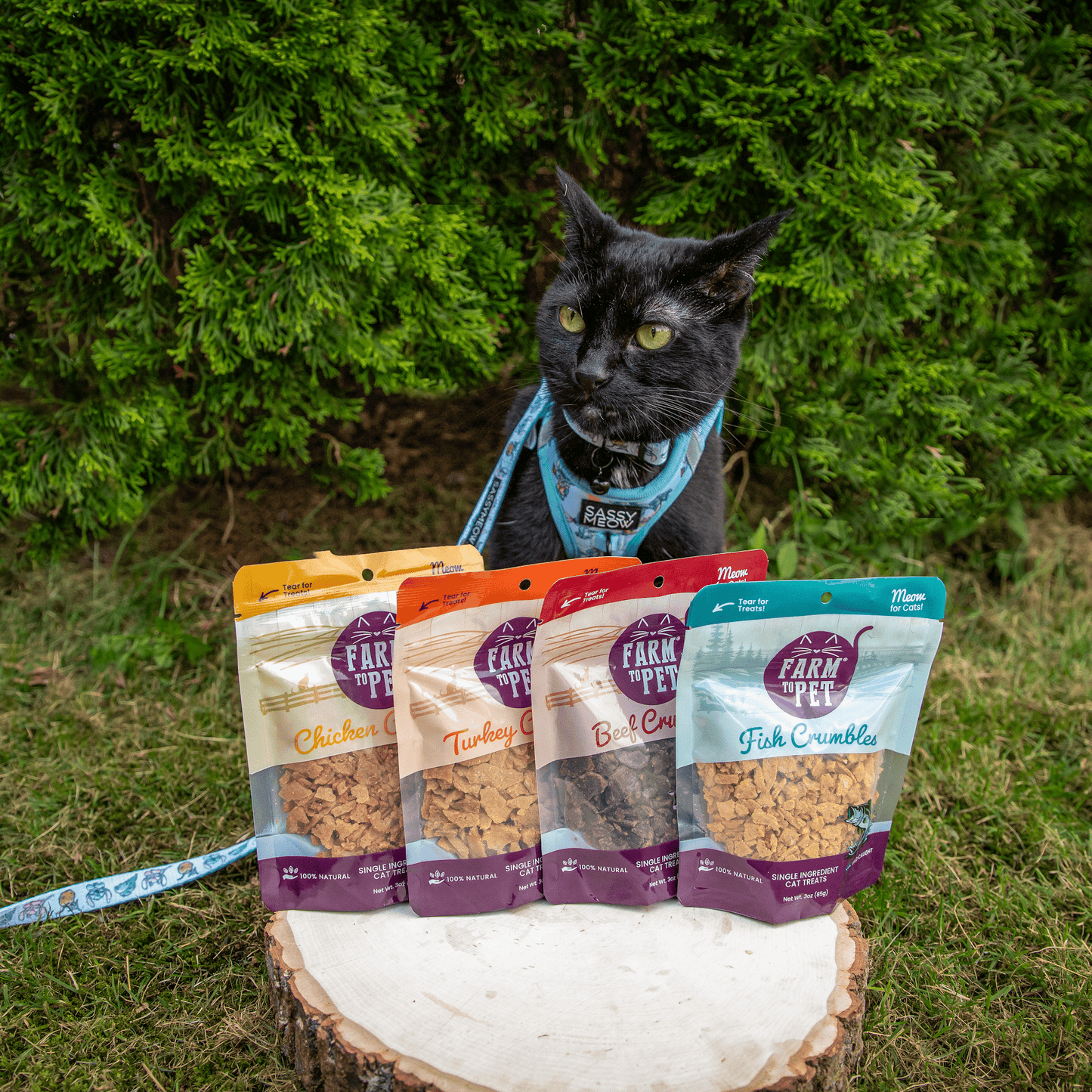 Fish Crumbles for Cats | All-Natural Fish Cat Treats - ZOOMNSTORE