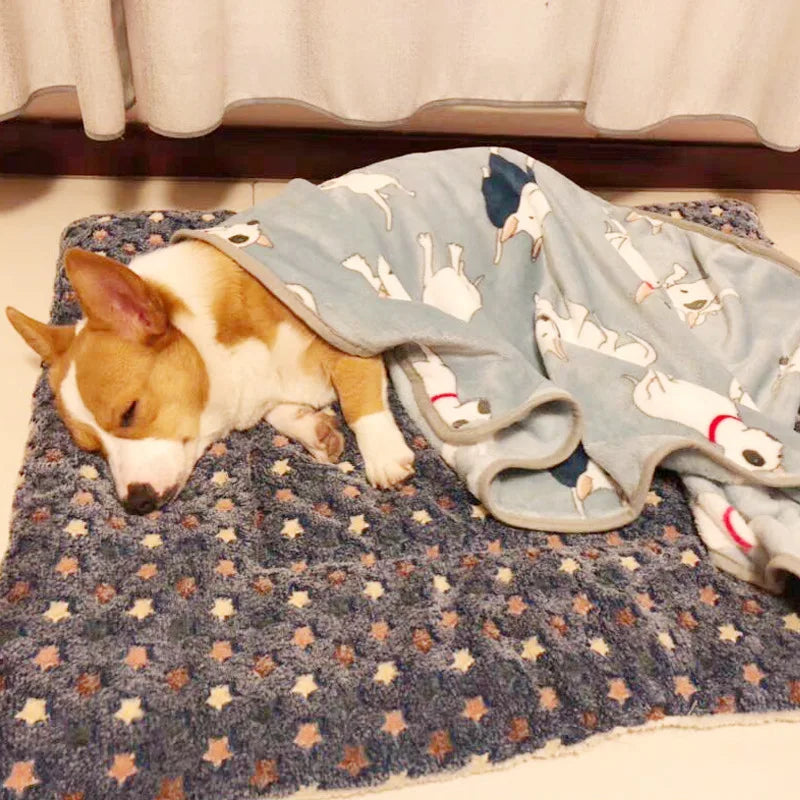 Flannel Dog Bed Mat - Thickened Soft Pet Sleeping Mat for Winter Warmth - ZOOMNSTORE