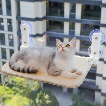 Assembly free folding cat hammock plush mesh cat window wall jumping platform double suction cup cat hammock - ZOOMNSTORE