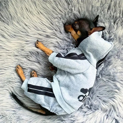French Bulldog Puppy Jumpsuit - Dog Outfit for Small Medium Breeds - ZOOMNSTORE