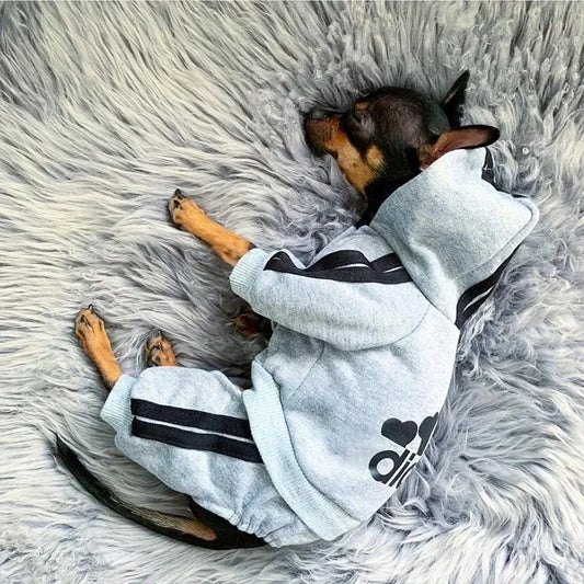 French Bulldog Puppy Jumpsuit - Dog Outfit for Small Medium Breeds - ZOOMNSTORE