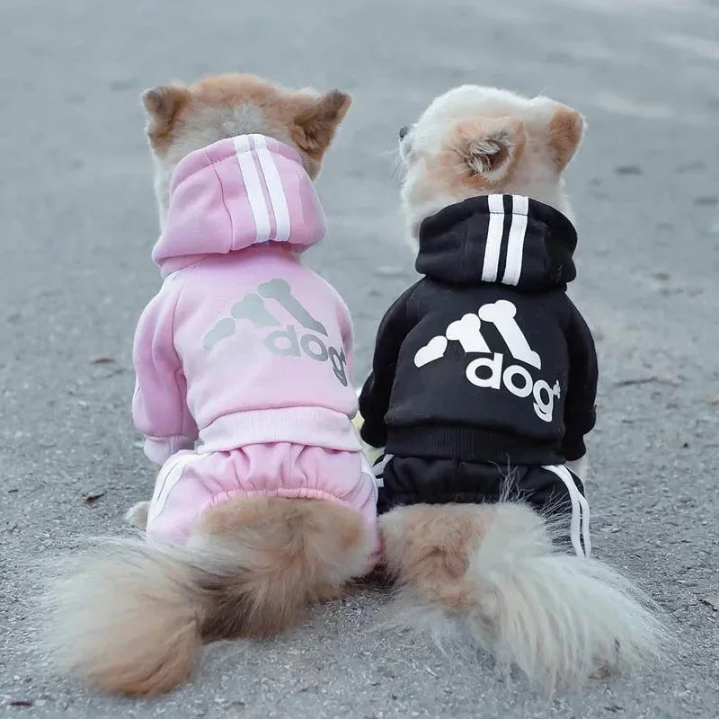 French Bulldog Puppy Jumpsuit - Dog Outfit for Small Medium Breeds - ZOOMNSTORE