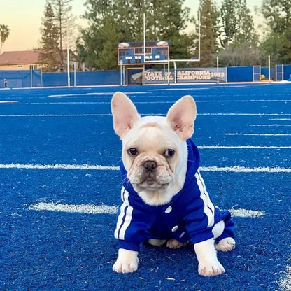 French Bulldog Puppy Jumpsuit - Dog Outfit for Small Medium Breeds - ZOOMNSTORE