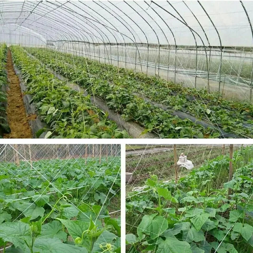 Heavy-Duty Garden Climbing Net - Trellis Netting for Plants and Vines - ZOOMNSTORE