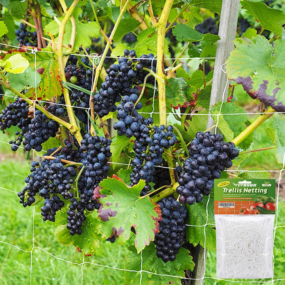 Heavy-Duty Garden Climbing Net - Trellis Netting for Plants and Vines - ZOOMNSTORE