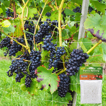 Heavy-Duty Garden Climbing Net - Trellis Netting for Plants and Vines - ZOOMNSTORE