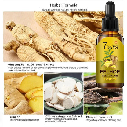 Hair Growth Serum - Ginger Essential Oil for Fast Regrowth  Hair Care 102040ml - ZOOMNSTORE