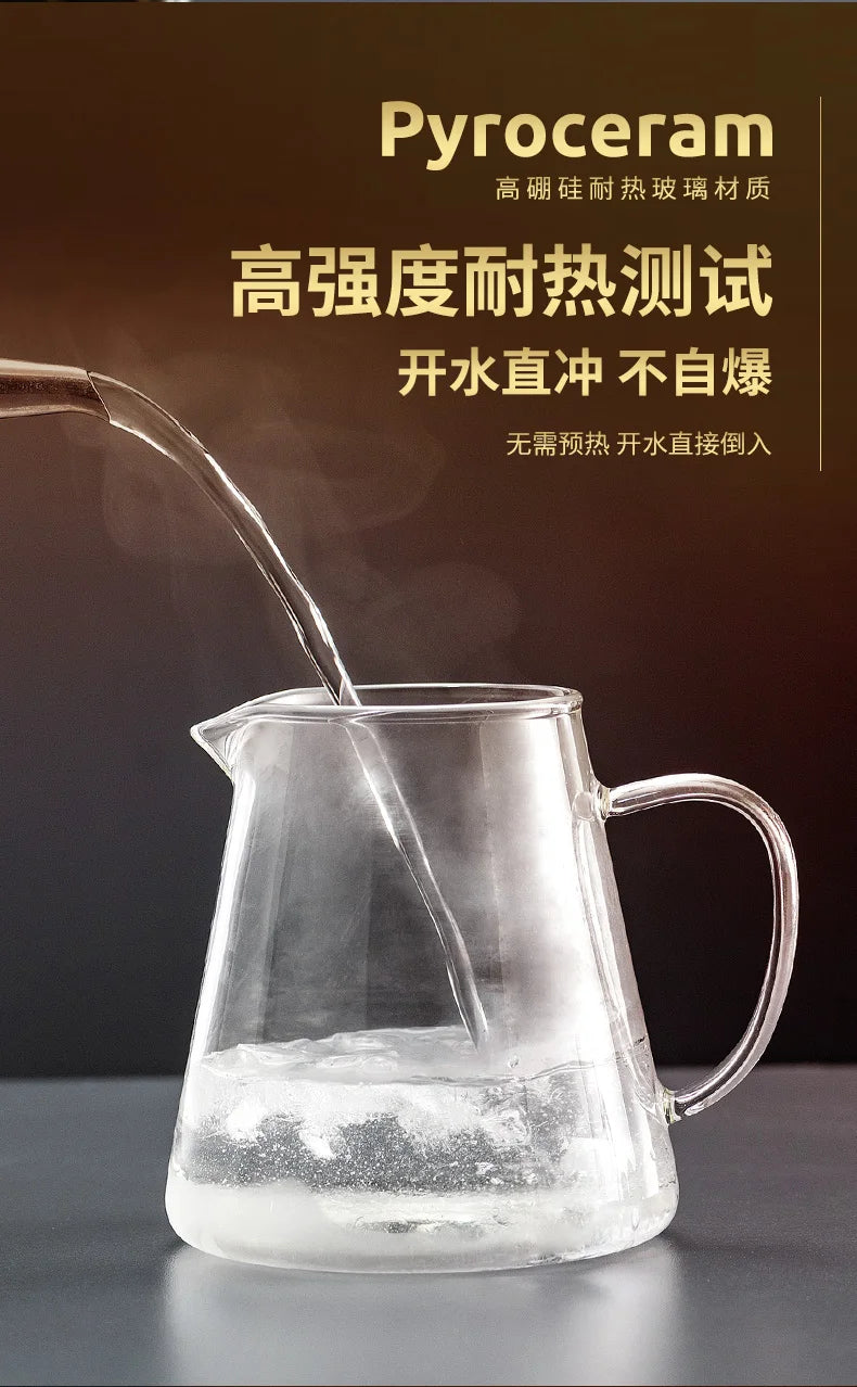 Heat Resistant Glass Teapot with Stainless Steel Infuser - Kung Fu Tea Set for Puer Oolong - ZOOMNSTORE