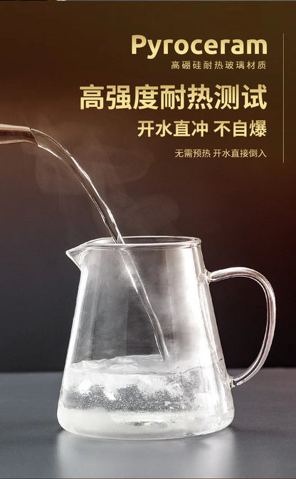 Heat Resistant Glass Teapot with Stainless Steel Infuser - Kung Fu Tea Set for Puer Oolong - ZOOMNSTORE