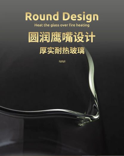 Heat Resistant Glass Teapot with Stainless Steel Infuser - Kung Fu Tea Set for Puer Oolong - ZOOMNSTORE