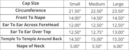 Glueless Lace Front Wig - 13x6 HD Lace Frontal, Brazilian Human Hair, Bone Straight - ZOOMNSTORE