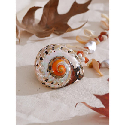 Natural Baroque Pearl Conch Pendant Necklace - Handmade Beach Jewelry for Women with Gift Box - ZOOMNSTORE