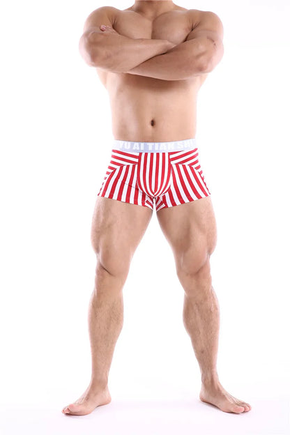 Men Boxers Comfortable Underpants Cotton Low Waist Large Size BoxerShort Striped Breathable Cueca Boxer Homme Underwear