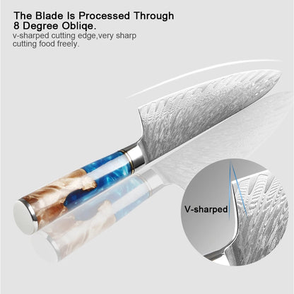 Damascus Steel Chefs Knife - Sharp Clad Steel Kitchen Knife with Blue Resin Handle  Custom Logo Gift Box - ZOOMNSTORE