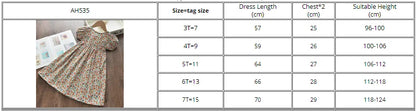 Bear Leader Floral Girls Dress Floral Kids Dresses Girls Princess Dress Children Clothes Girls Dress Casual Wear 3 7Y Vestido