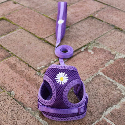 Mesh Small Dog Harness And Leash Set Puppy Cat Vest Harness for Pug Chihuahua Arnes Perro Cat Dog Harness Vest
