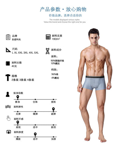 8pcs/Lot Men's Panties Ice Silk Male Underpants Breathable Summer Man Shorts Boxers Underwear Homme Bamboo Hole Large Size L-5XL
