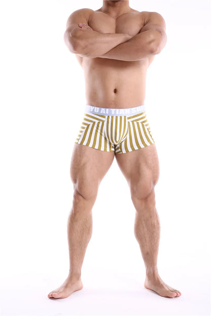Men Boxers Comfortable Underpants Cotton Low Waist Large Size BoxerShort Striped Breathable Cueca Boxer Homme Underwear