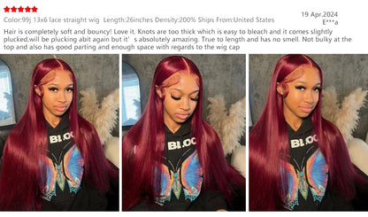 HD Lace Frontal Wig - 13x6 Burgundy 99J Remy Brazilian Human Hair, Straight, High Density - ZOOMNSTORE