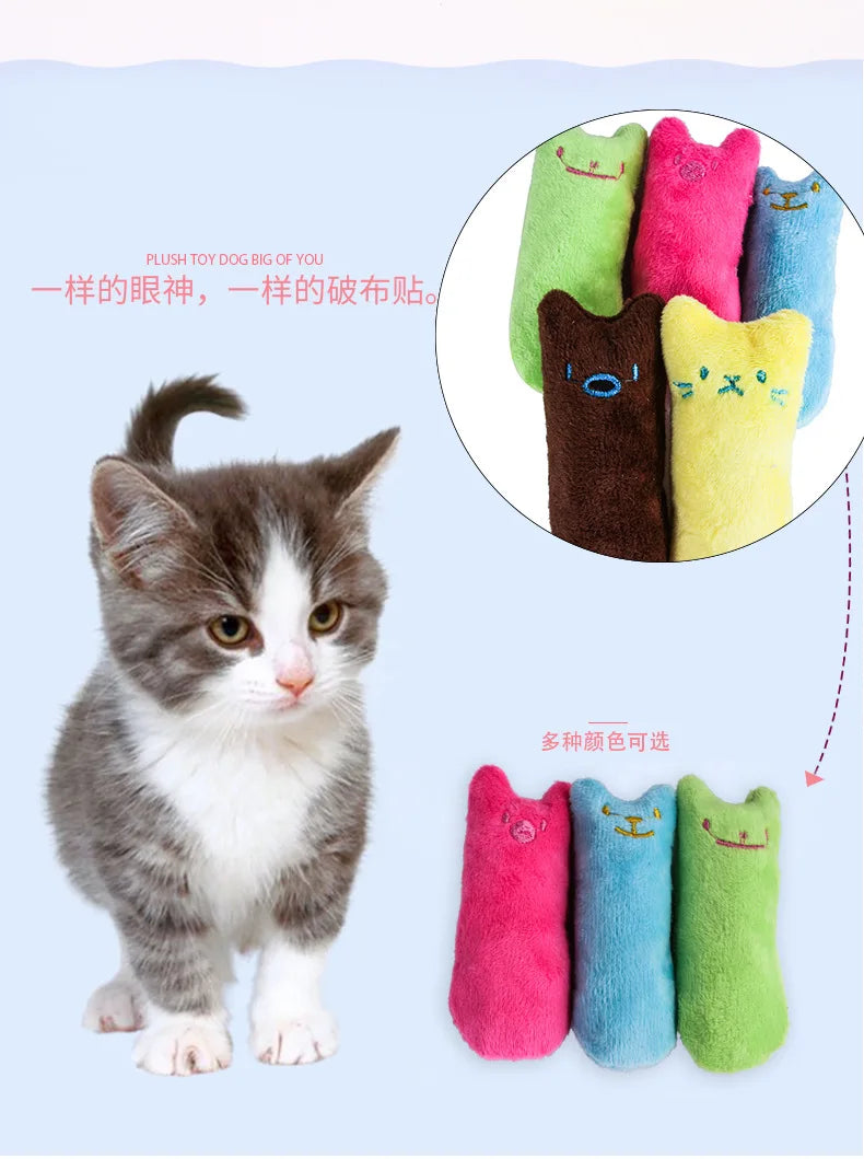ZOOMNSTORE