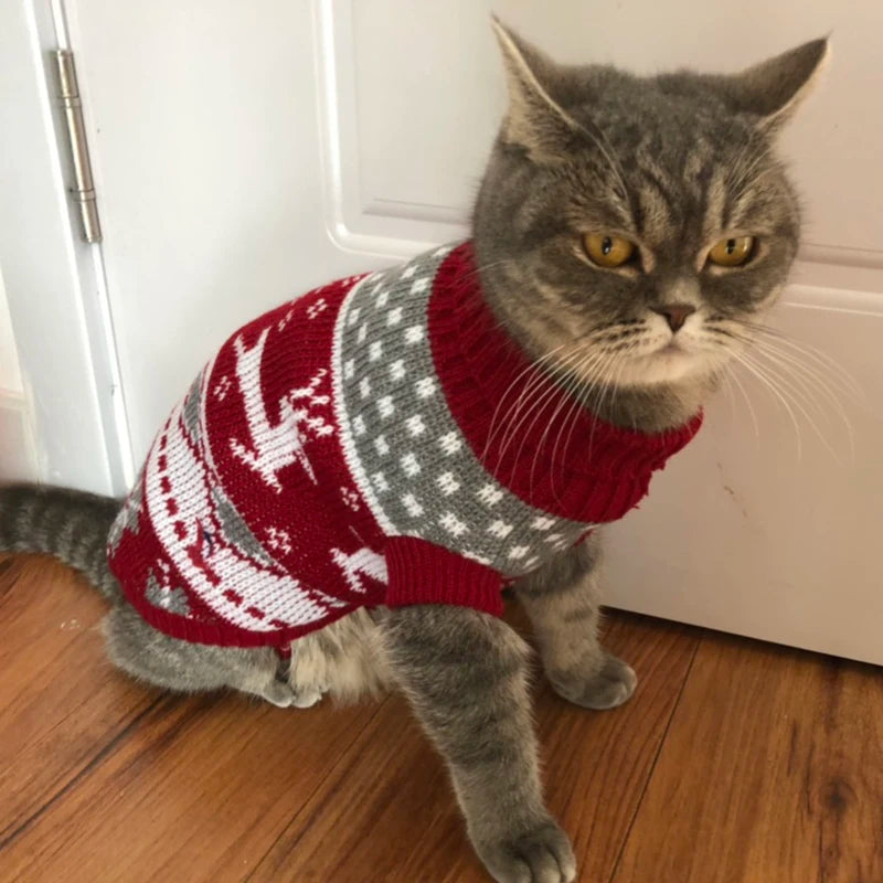 Cute Cat Sweater Costume Winter Warm Pet Clothes for Cats Katten Sphynx Pullover Mascotas Clothing Gatos Products for Animals