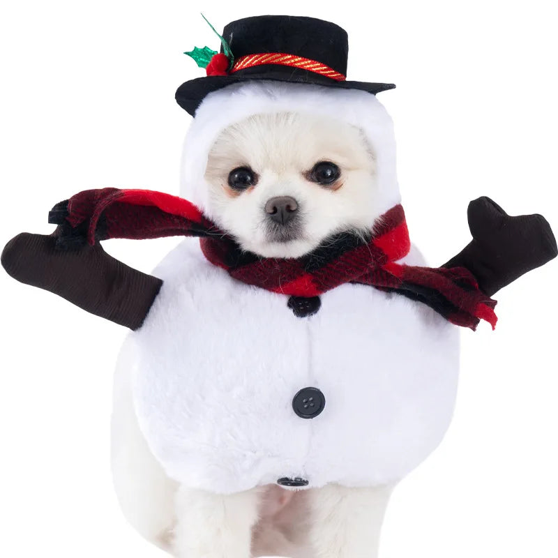 Halloween Pet Dagger Costume - Funny Dog Cat Dress Up Outfit - ZOOMNSTORE