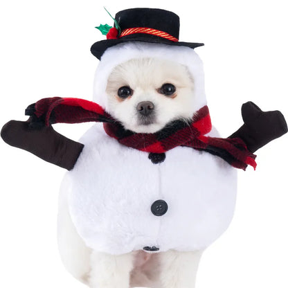 Halloween Pet Dagger Costume - Funny Dog Cat Dress Up Outfit - ZOOMNSTORE
