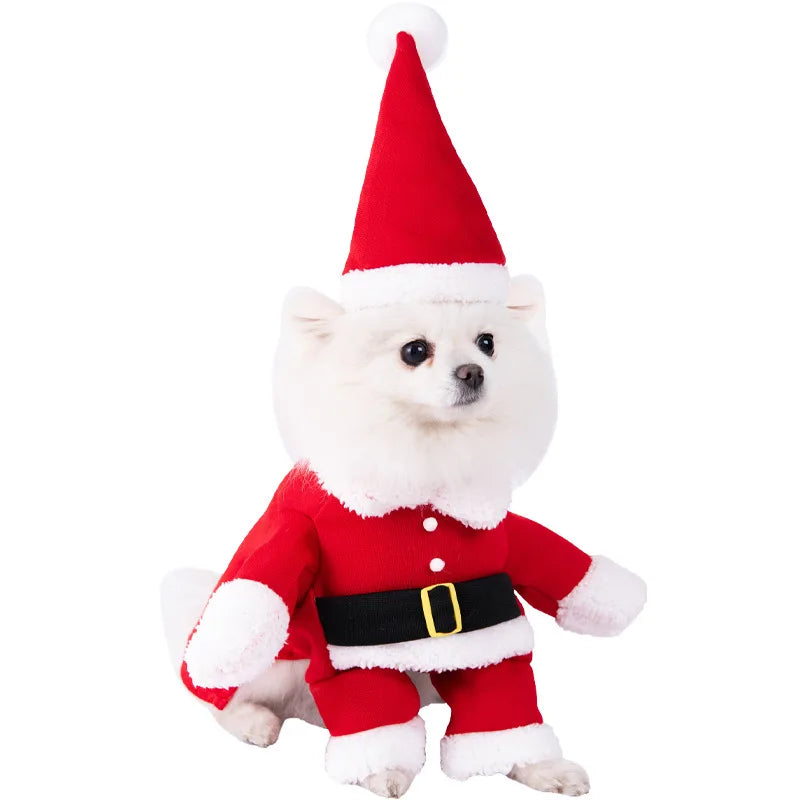 Halloween Pet Dagger Costume - Funny Dog Cat Dress Up Outfit - ZOOMNSTORE