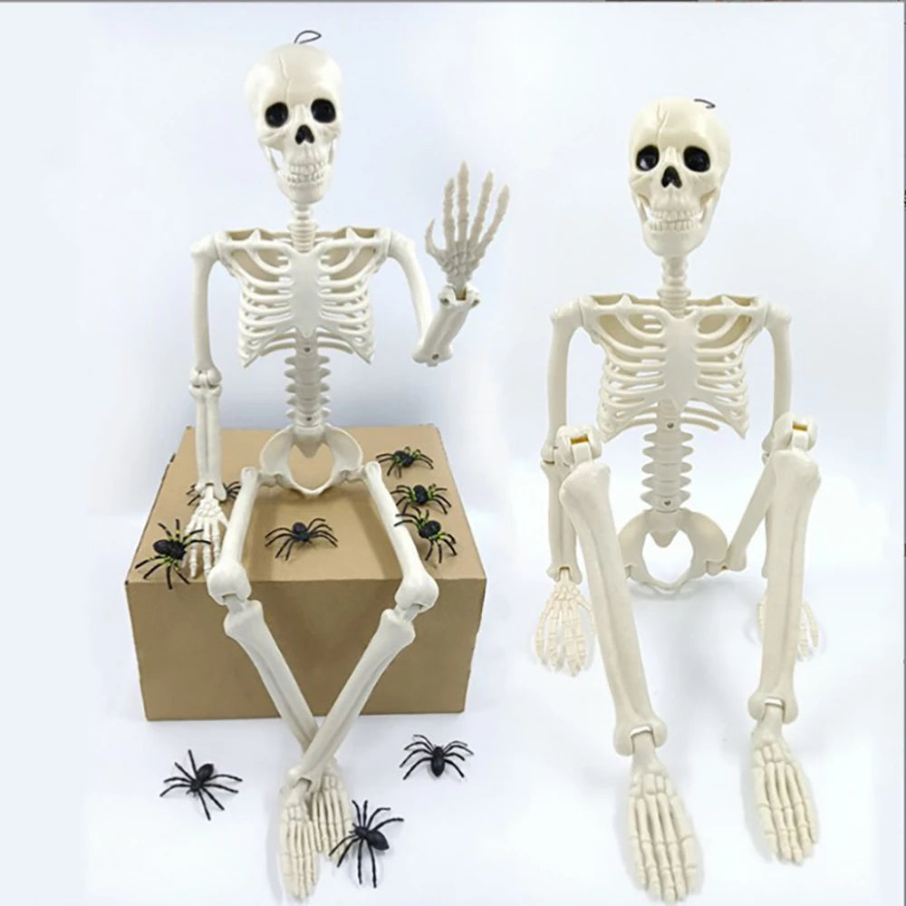 Posable 40cm Halloween Skeleton - Human Shape Horror Decoration - ZOOMNSTORE