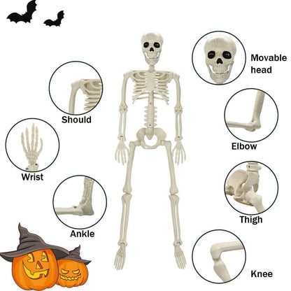 Posable 40cm Halloween Skeleton - Human Shape Horror Decoration - ZOOMNSTORE