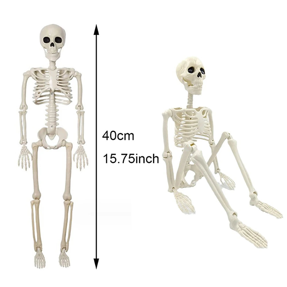 Posable 40cm Halloween Skeleton - Human Shape Horror Decoration - ZOOMNSTORE
