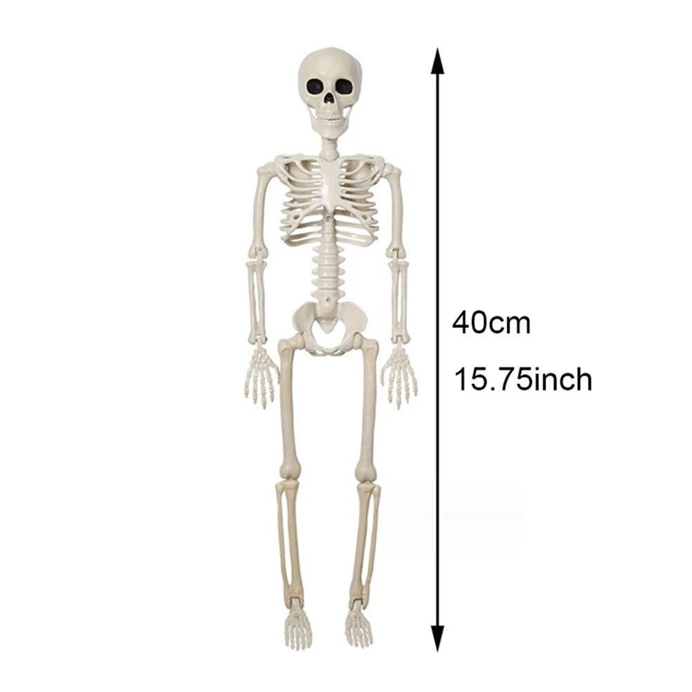 Posable 40cm Halloween Skeleton - Human Shape Horror Decoration - ZOOMNSTORE