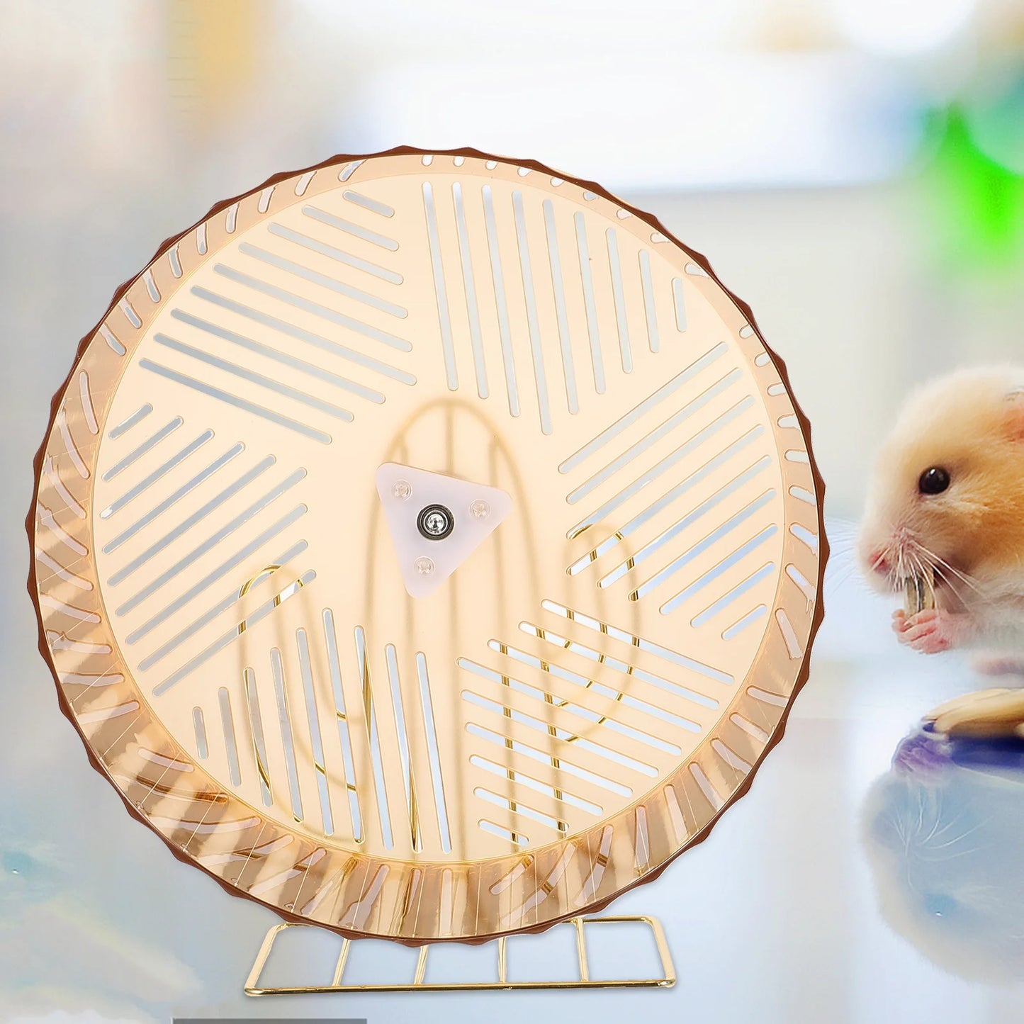 Hamster Exercise Wheel - Silent Small Pet Wheel Toy for Hedgehogs & Gerbils - ZOOMNSTORE