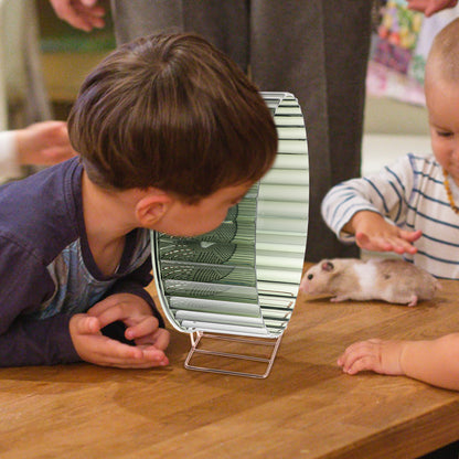 Hamster Exercise Wheel - Silent Small Pet Wheel Toy for Hedgehogs & Gerbils - ZOOMNSTORE