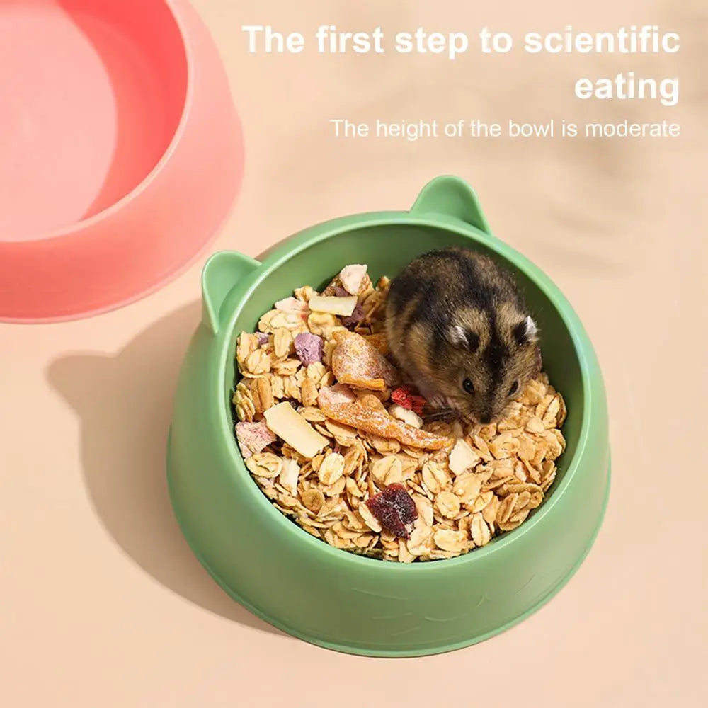 Hamster Feeding Bowl – Stable ABS Pet Bowl For Small Pets | Spill Proof Feeder - ZOOMNSTORE