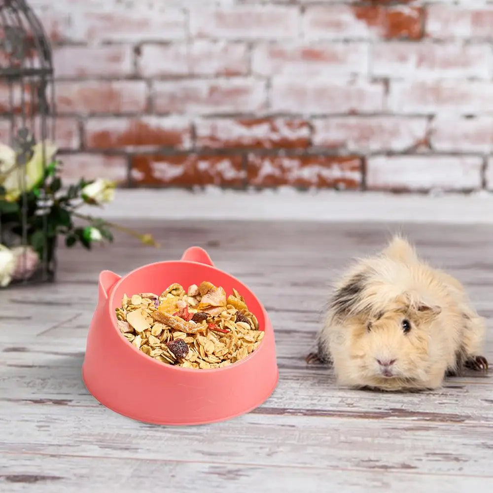 Hamster Feeding Bowl – Stable ABS Pet Bowl For Small Pets | Spill Proof Feeder - ZOOMNSTORE