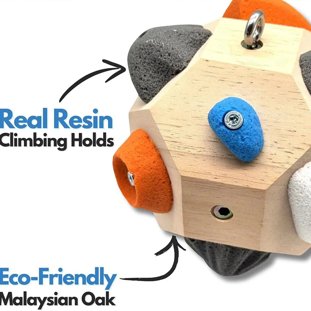Handcrafted Boulder Climbing Holds - Giant Stones for Strength Training and Home Decor - ZOOMNSTORE