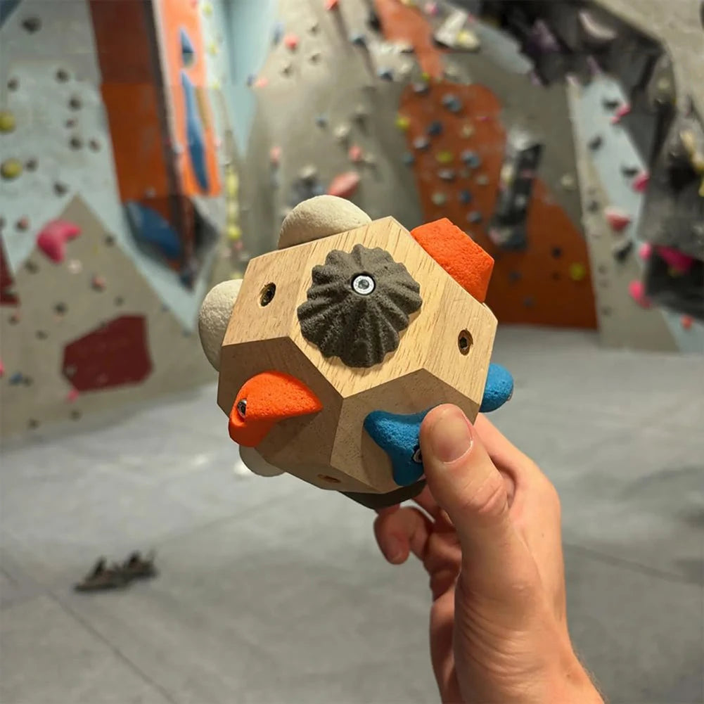Handcrafted Boulder Climbing Holds - Giant Stones for Strength Training and Home Decor - ZOOMNSTORE