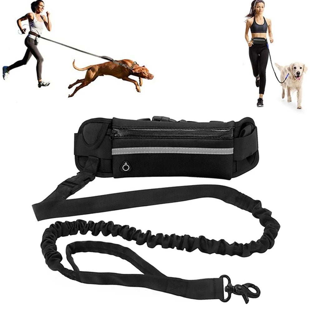 Hands-Free Reflective Dog Leash with Waist Bag - Elastic Belt for Running and Walking - ZOOMNSTORE