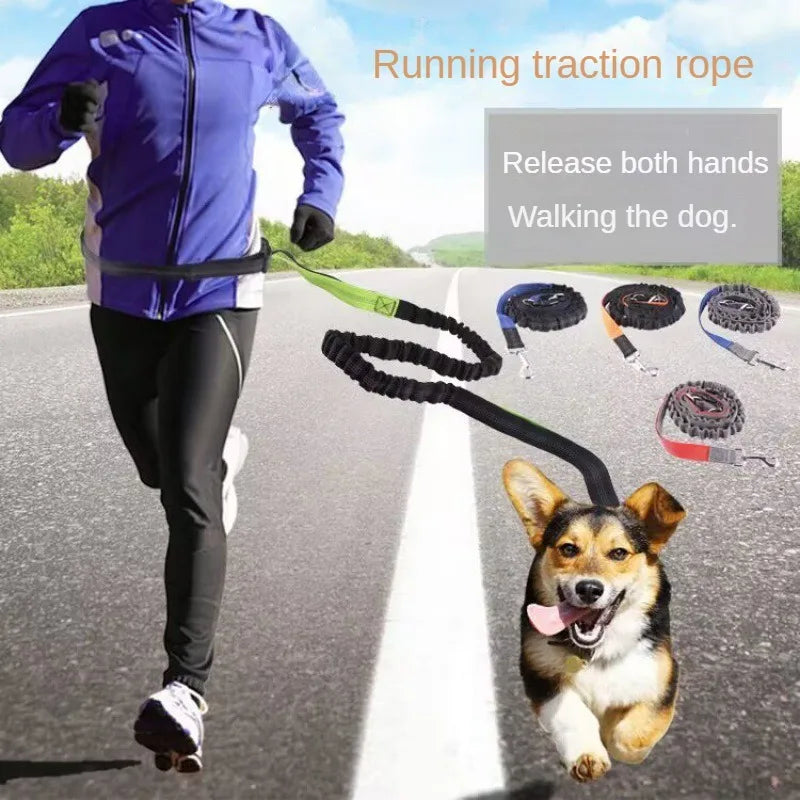 Hands-Free Dog Leash - Adjustable Waist Belt  Chest Strap for Walking Running Jogging - ZOOMNSTORE