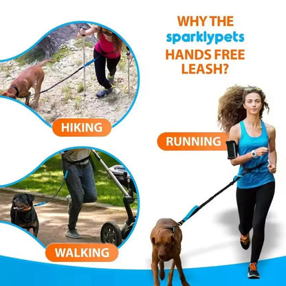 Hands-Free Dog Leash - Dual Elastic Reflective Traction Rope for Night Running - ZOOMNSTORE