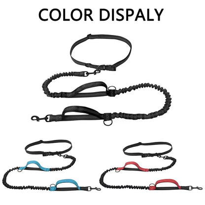Hands-Free Dog Leash - Dual Elastic Reflective Traction Rope for Night Running - ZOOMNSTORE