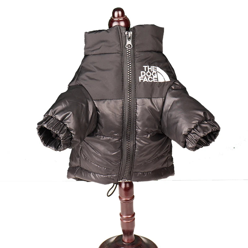 ZOOMNSTORE