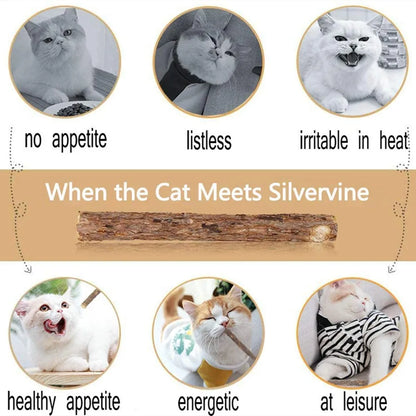 15pcs Natural Matatabi Cat Catnip Toy Kitten Molar Chew Stick Pet Cleaning Teeth Cat Treat Toy Actinidia Silvervine Pet Products