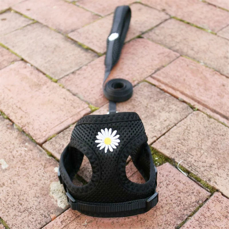 Mesh Small Dog Harness And Leash Set Puppy Cat Vest Harness for Pug Chihuahua Arnes Perro Cat Dog Harness Vest