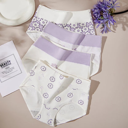 High Waist Panties - 4 Pack Cotton Women's Breathable Plus Size Briefs - ZOOMNSTORE