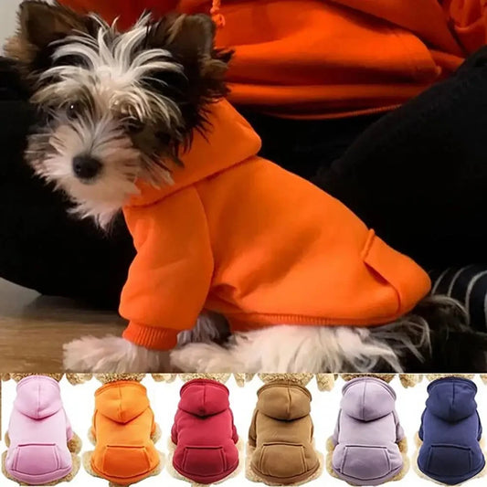 Hooded Pet Sweatshirt - Autumn Winter Dog  Cat Clothes with Pocket - ZOOMNSTORE