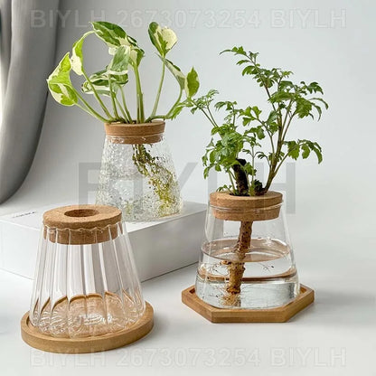 Hydroponic Glass Flower Pots - Transparent Small Vase with Base Tray for Home Decoration - ZOOMNSTORE