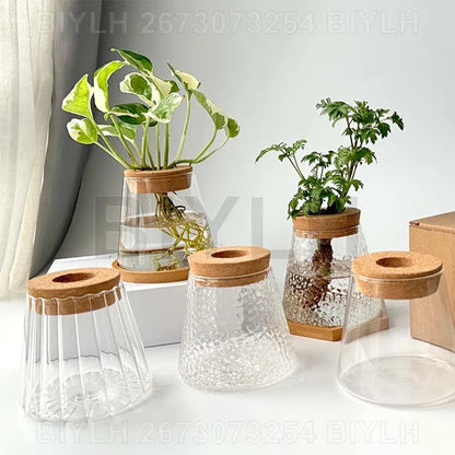 Hydroponic Glass Flower Pots - Transparent Small Vase with Base Tray for Home Decoration - ZOOMNSTORE